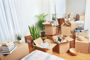 boxes and packing materials